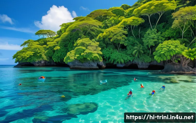 트리니다드 토바고 스노클링 명소 관련 이미지 1