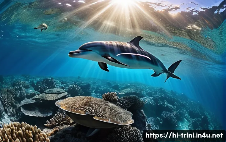 트리니다드 토바고 스노클링 명소 관련 이미지 2