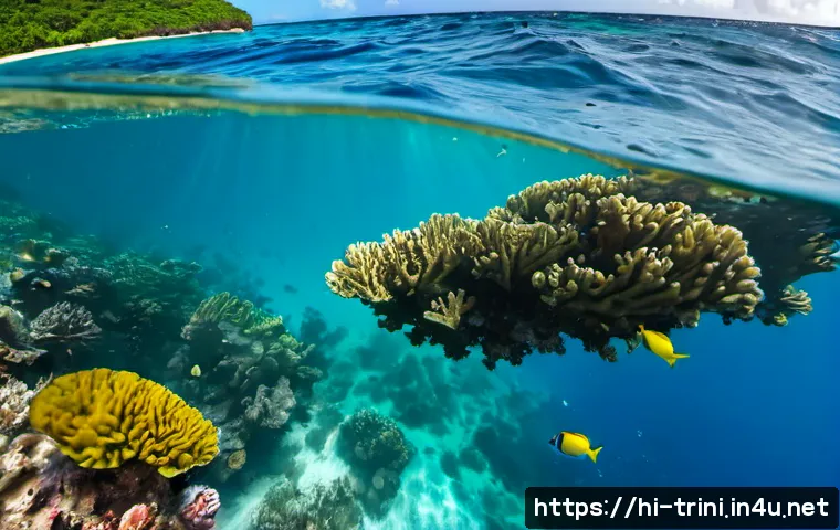 토바고섬에서 꼭 해야 할 액티비티 - Photorealistic wide-angle scene of a traveler snorkeling above a vibrant coral reef in Tobago, cryst...